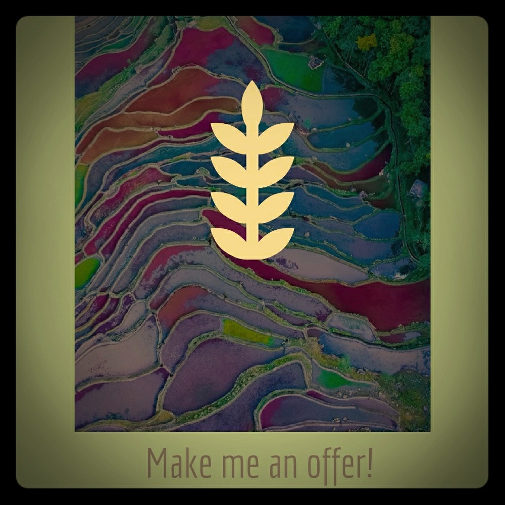 Make me an offer!